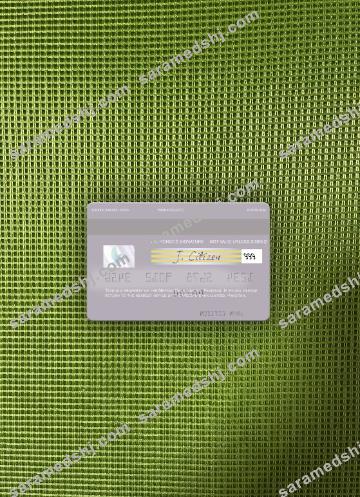 Pakistan Meezan Bank Limited visa debit card photolook back